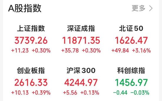 股票配资信息 芯片龙头异动！触及“20cm”涨停